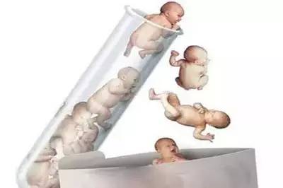 锦书生殖